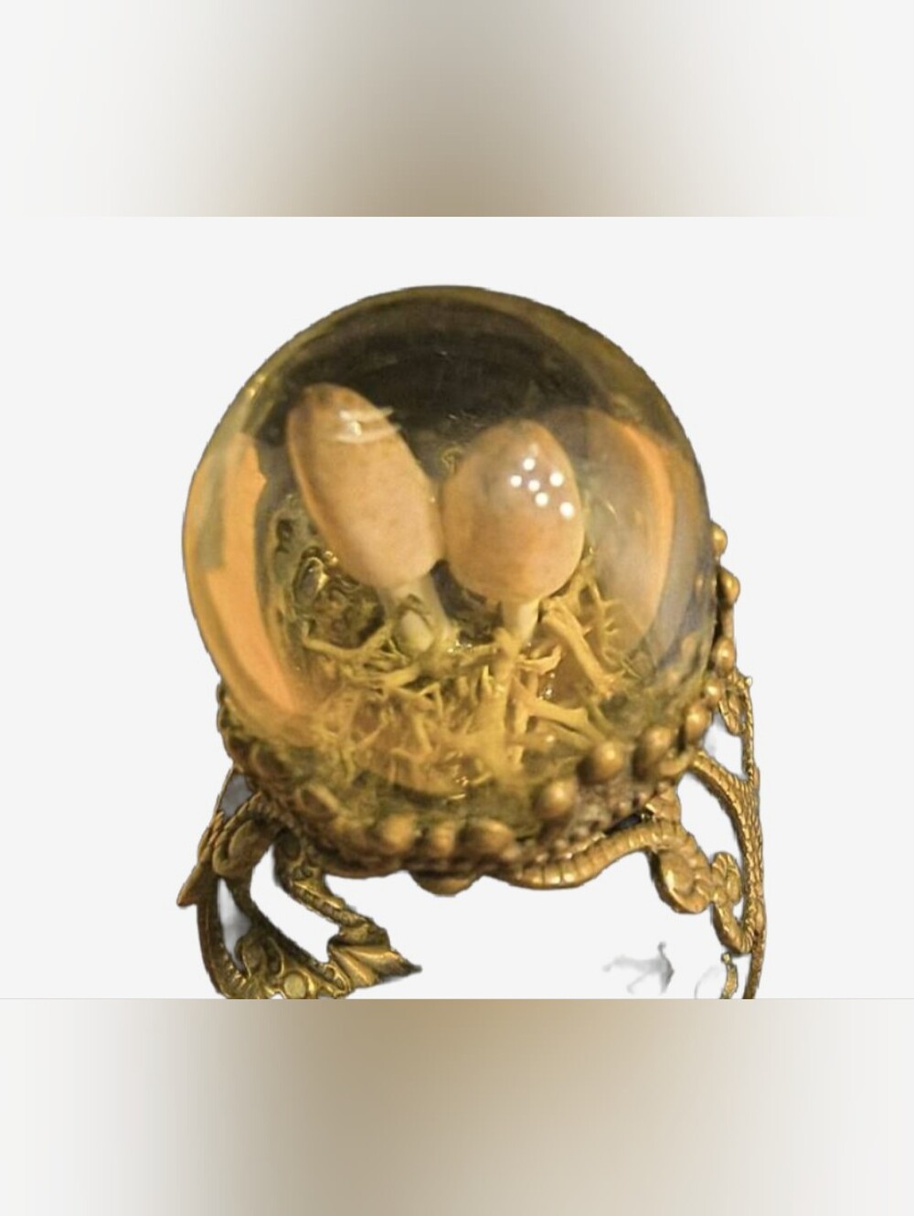 Whimsical Mushroom Terrarium Glass Dome Ring Antiqued Brass Cottagecore